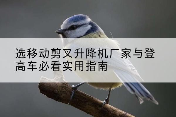 友谊电动升降机厂家-选移动剪叉升降机厂家与登高车必看实用指南