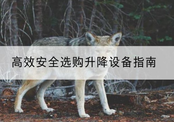 友谊升降货梯厂家推荐-*安全选购升降设备指南
