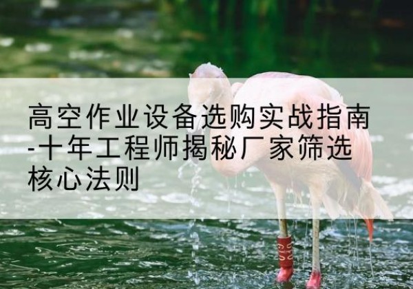 友谊剪叉式升降机厂家-高空作业设备选购实战指南-十年工程师揭秘厂家筛选核心法则